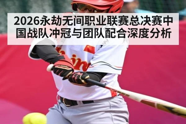 2026永劫无间职业联赛总决赛中国战队冲冠与团队配合深度分析