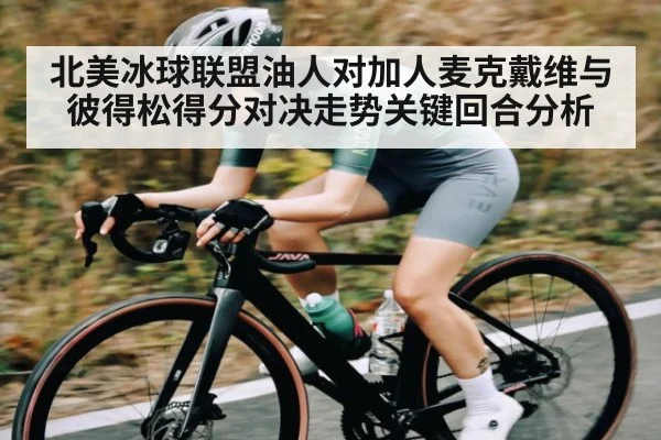 北美冰球联盟油人对加人麦克戴维与彼得松得分对决走势关键回合分析